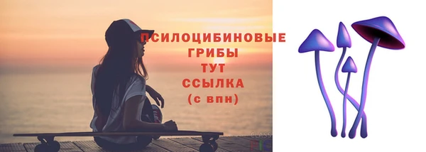 крисы Армянск