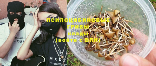 крисы Армянск