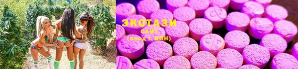 крисы Армянск